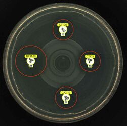 6 hour incubation EUCAST RAST plate example