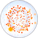 Water Sample